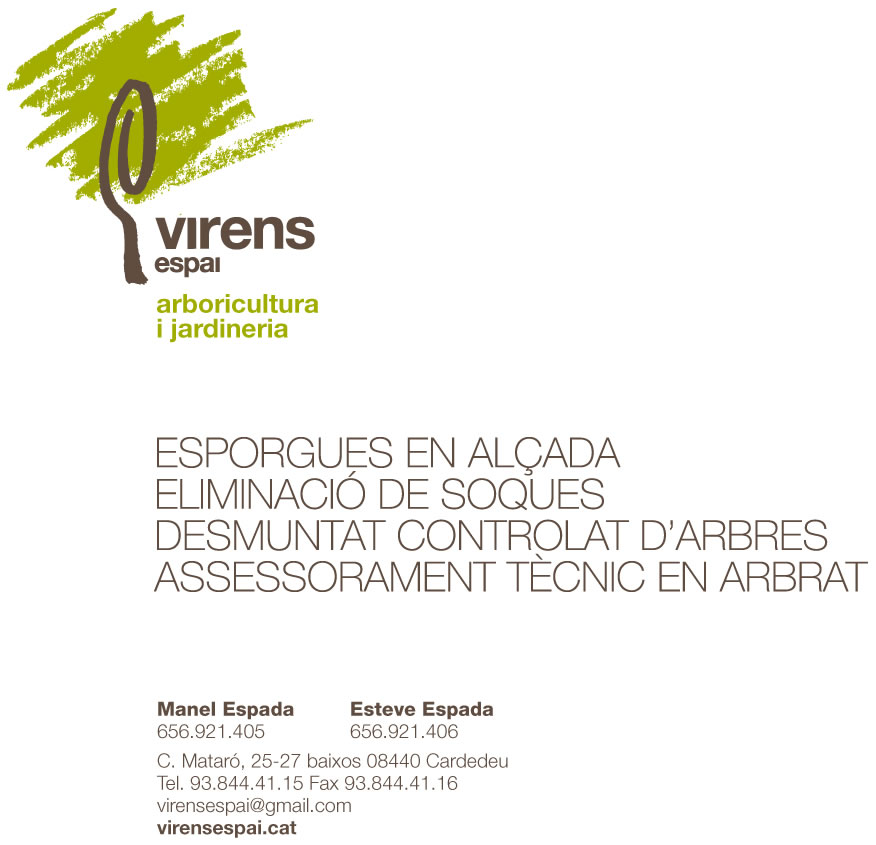 Virens espai